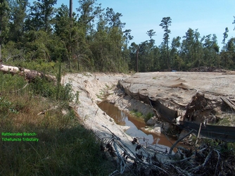 Channelization of a river