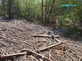 Example of Clear-Cutting
