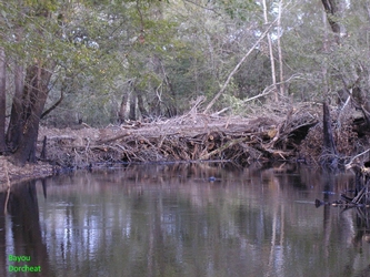 Example of river Impoundments