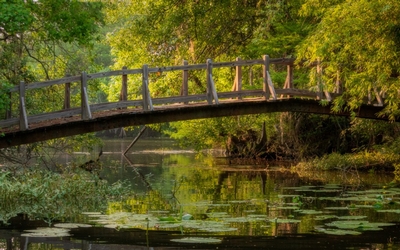 abita river walking bridge