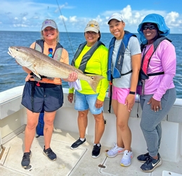 Women holding a bull red