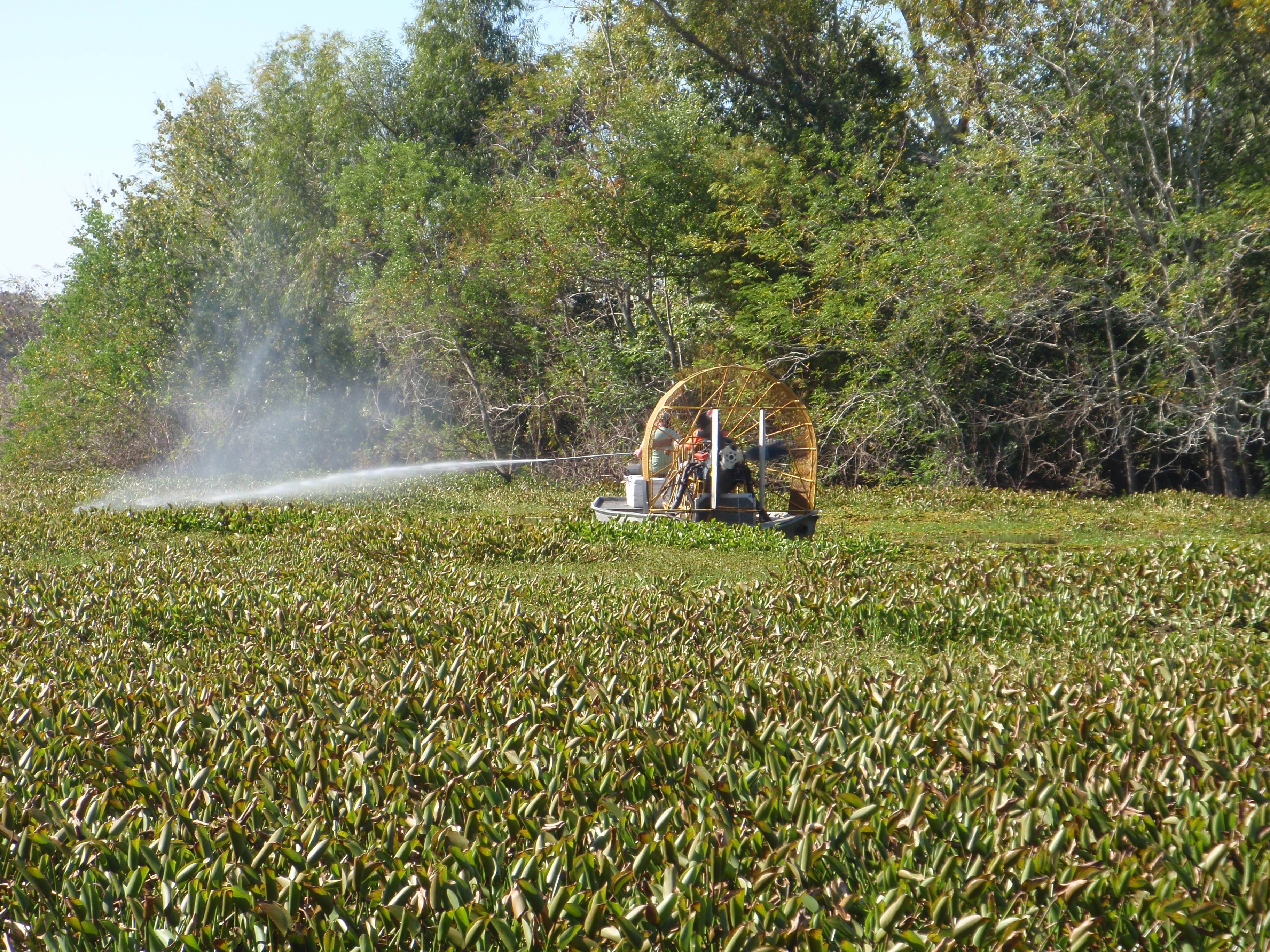 Contractors Treating Water Hyacinth