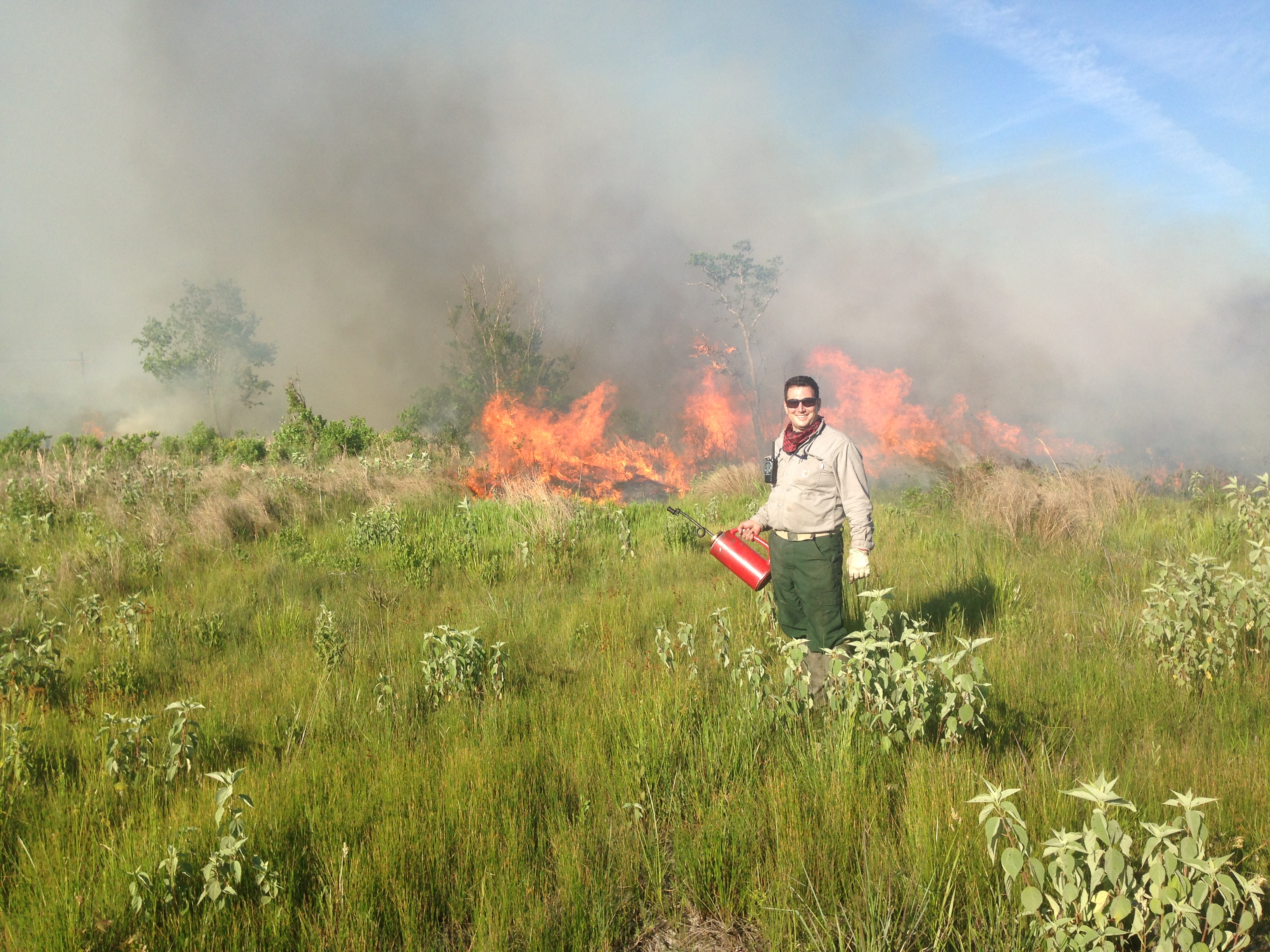 image of a prescribed burn