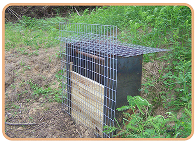 Water control structure representing Wetland Management