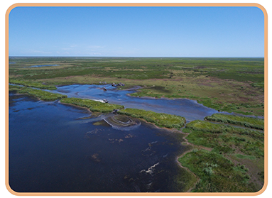 Aerial view of Louisiana wetlands representing Wetland Reserve Easements