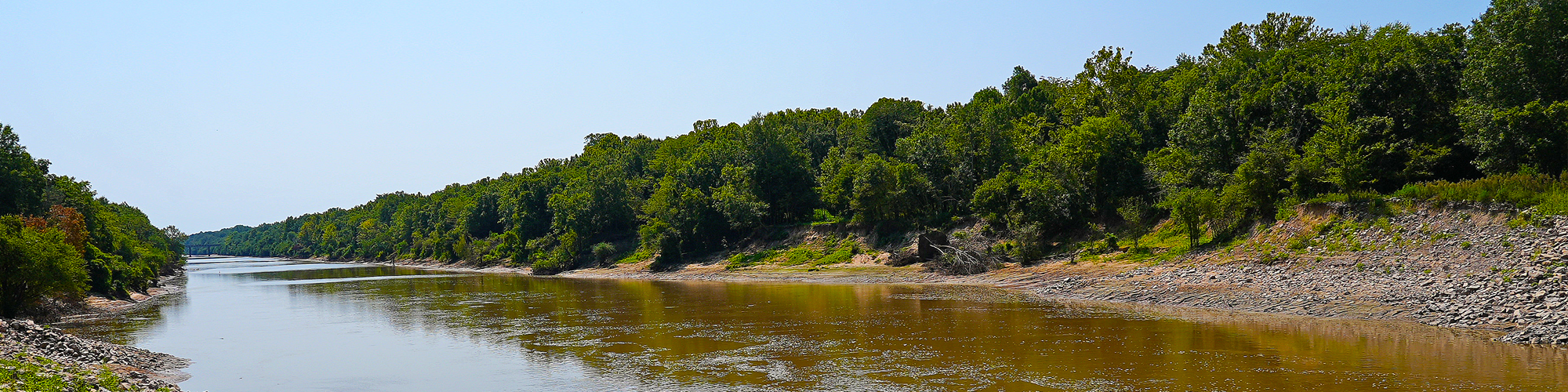 Image of a waterfront on Dewey W Wills with green tree canopy