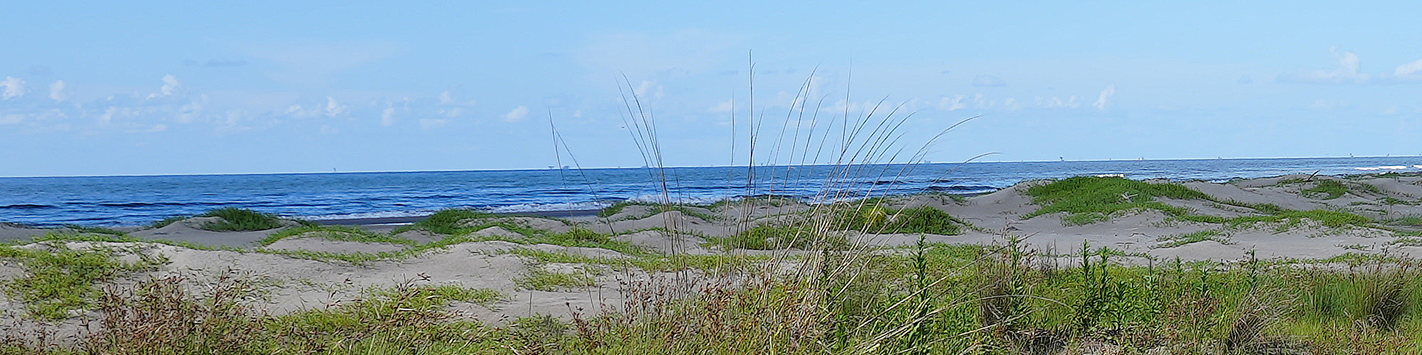 Beachfront image at Elmers Island