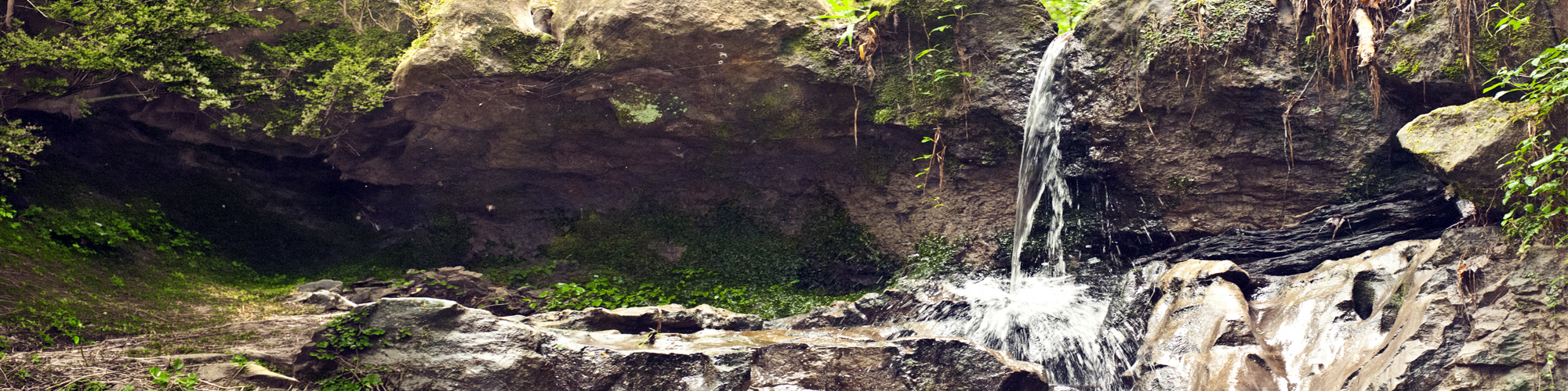 Image of water feature at Rock Falls Trail on Sonny Gilbert WMA