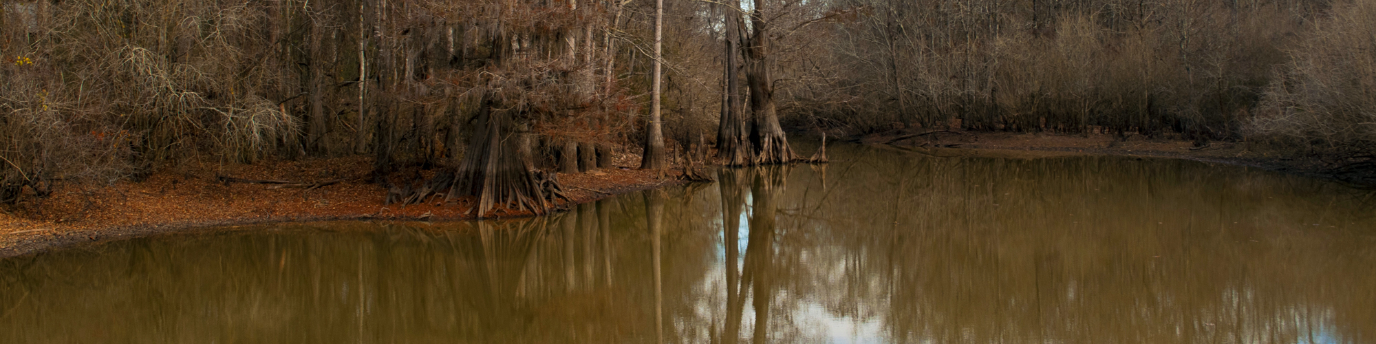 Image of natural pond at Russell Sage WMA