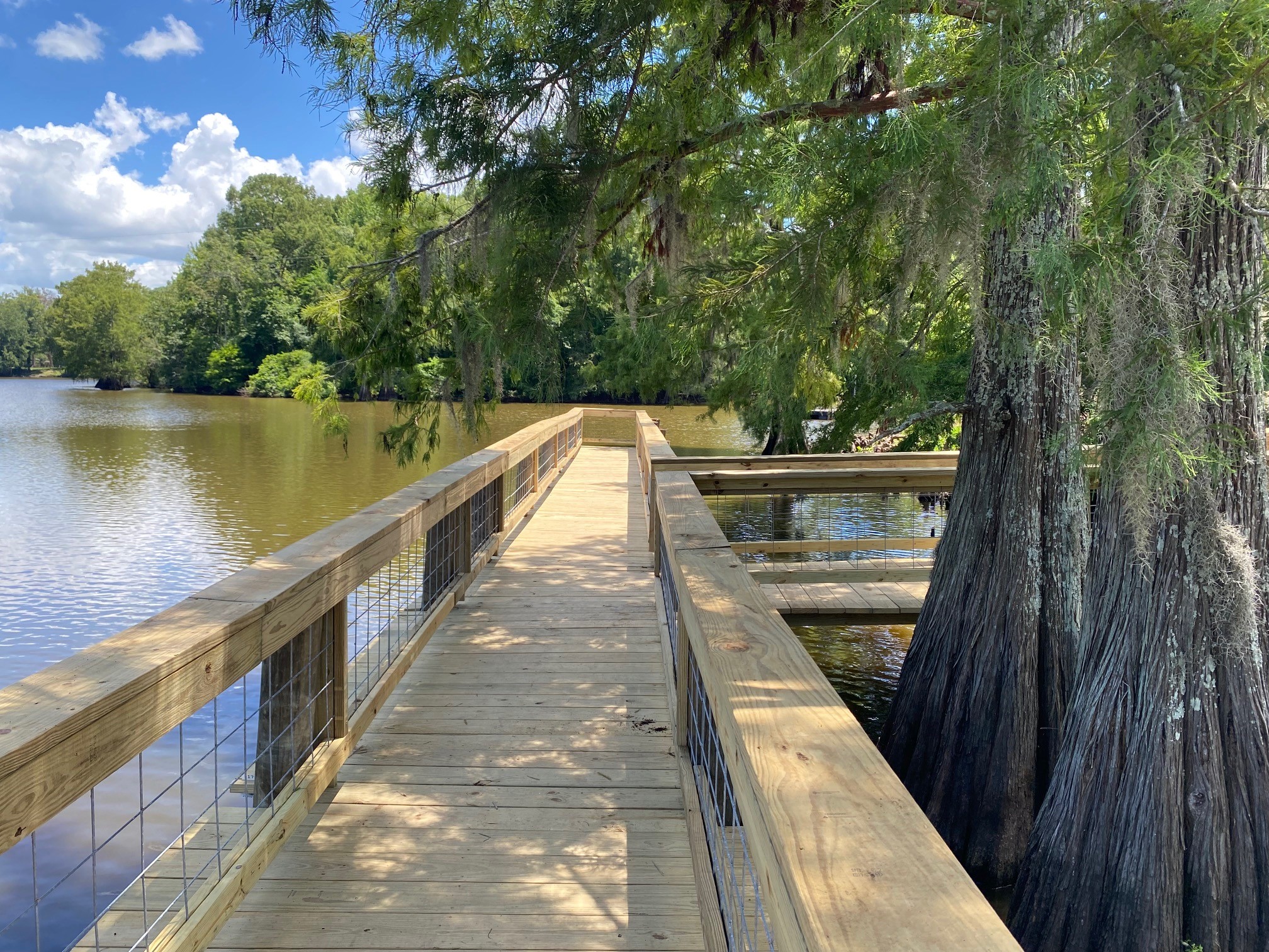 Fishing pier at Boggy Bayou Boat Launch at Spring Bayou WMA