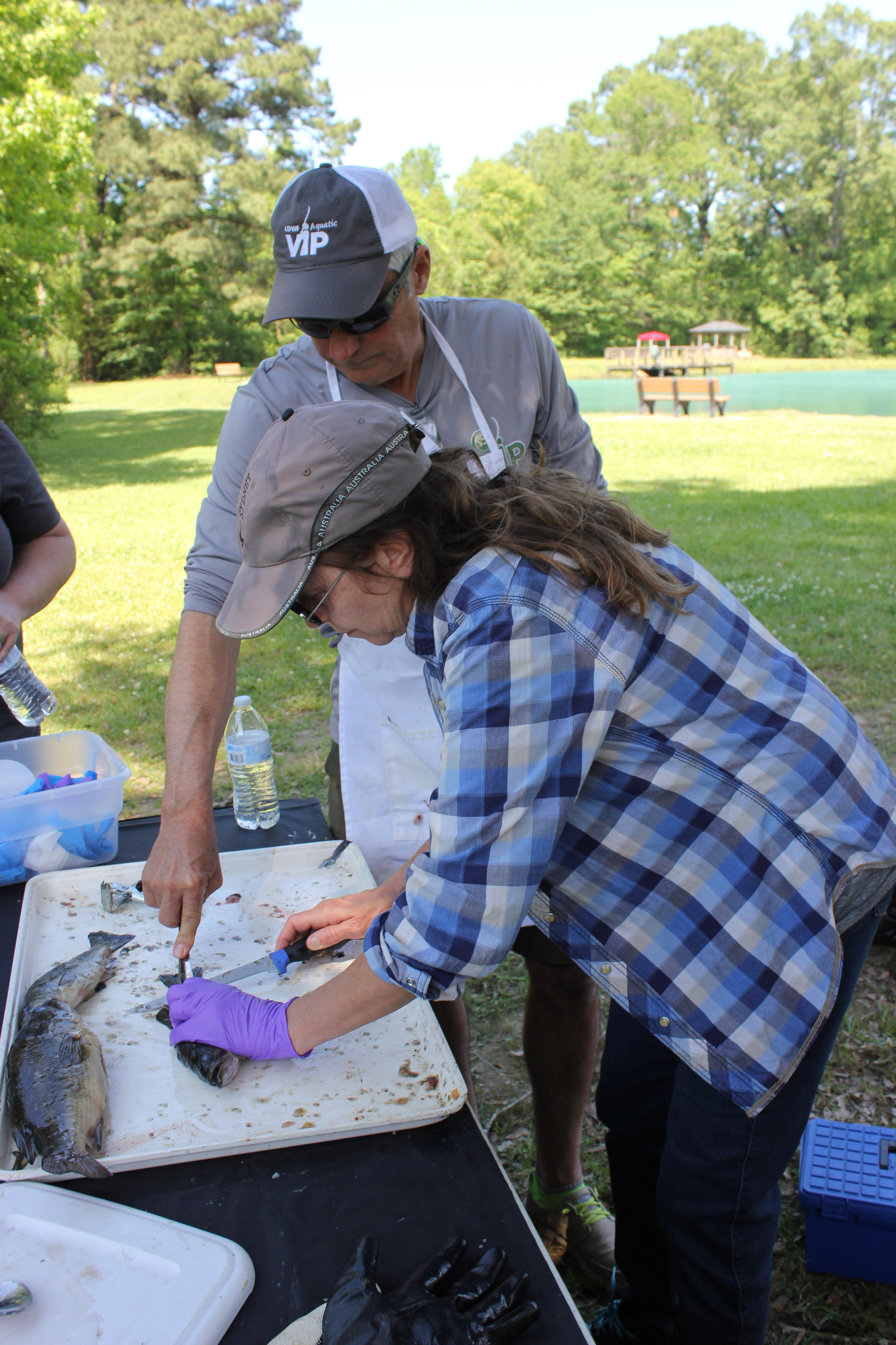 Participant learns to clean fish during the spring workshop.