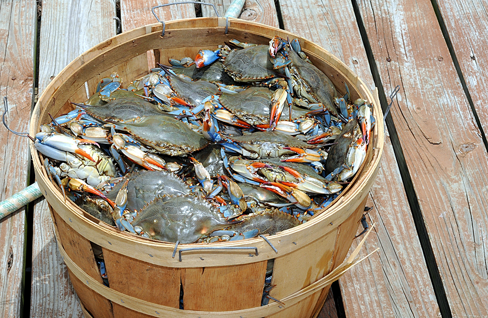 Bushel of crabs