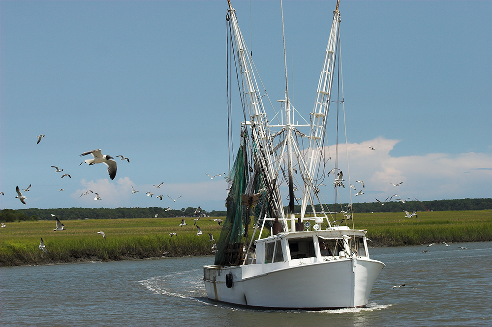 Shrimp boat making way down the bayou