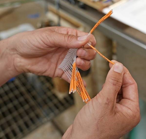 Close-up of a Floy tag