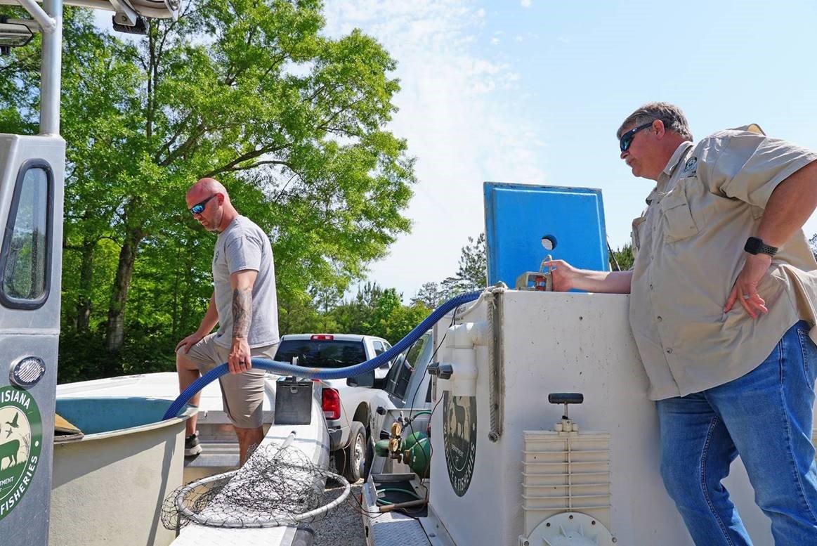 LDWF staff pumping water into a holding tank