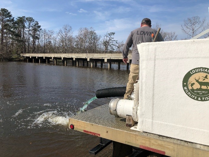 LDWF stocks Bundick Lake Following Recent HurricaneRelated Fish Kills