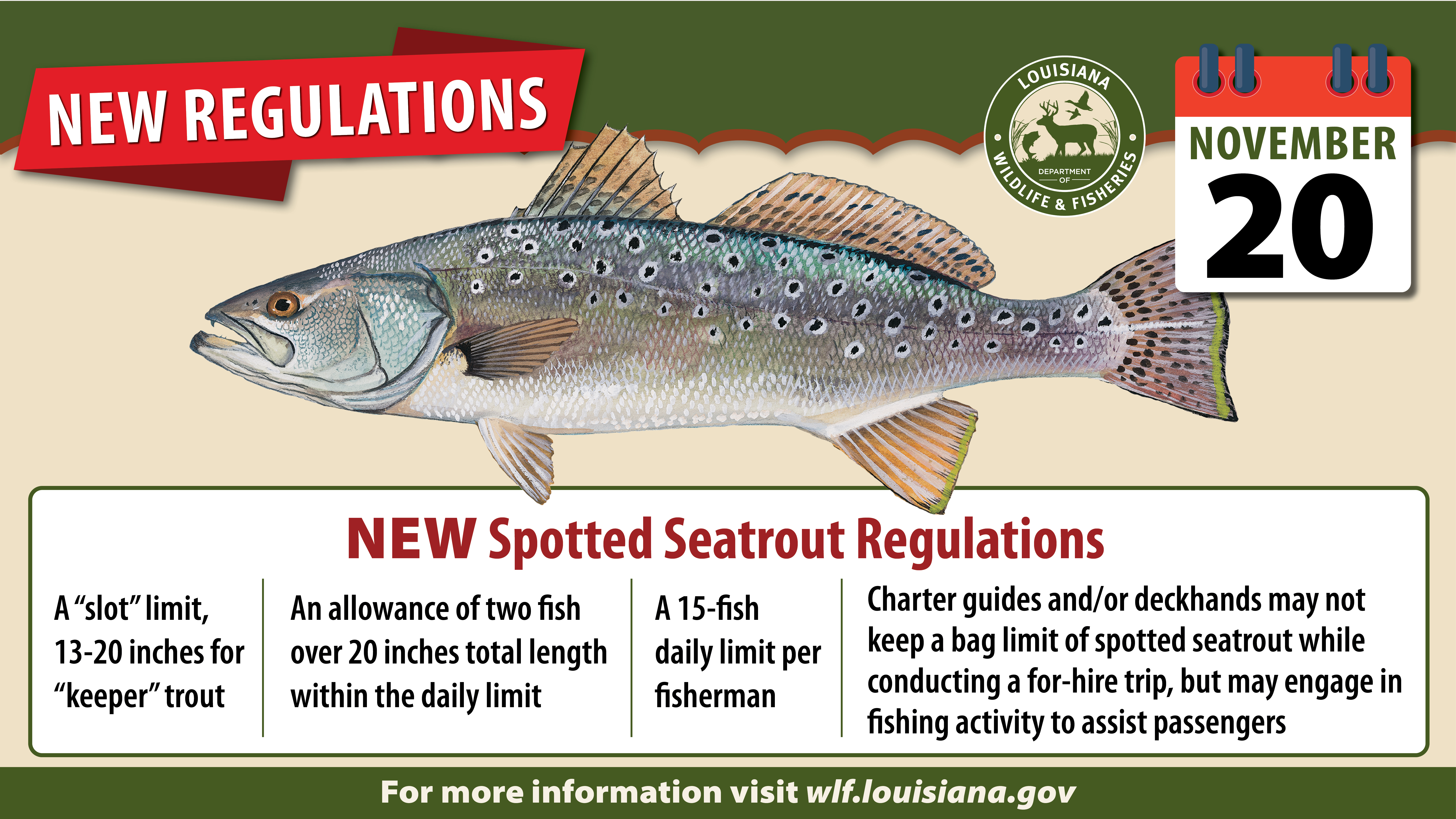 New Speckled Trout Regulations go into Effect November 20