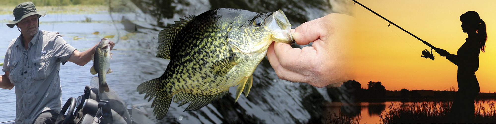 collage of fishing images