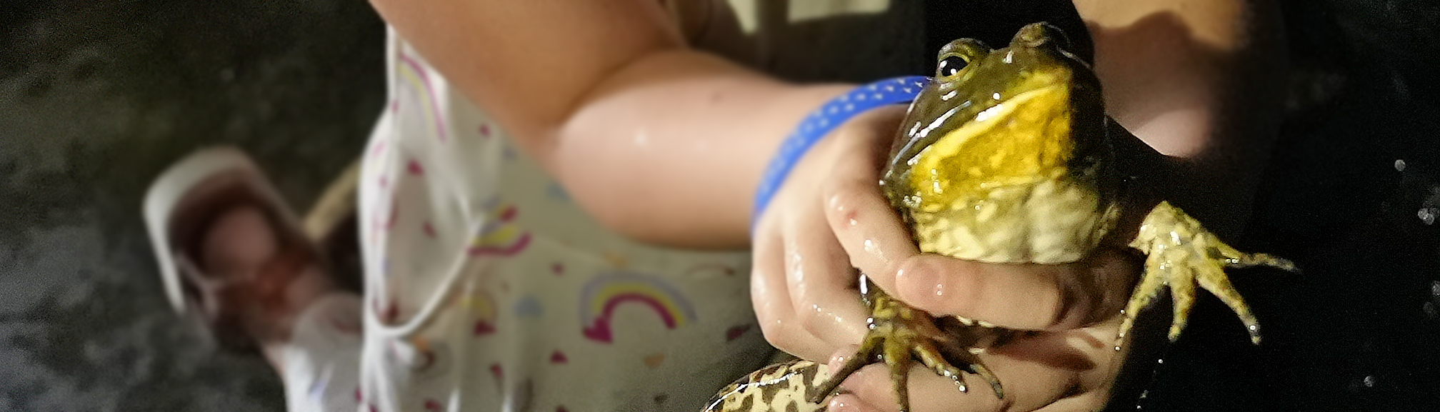 girl holding a bullfrog