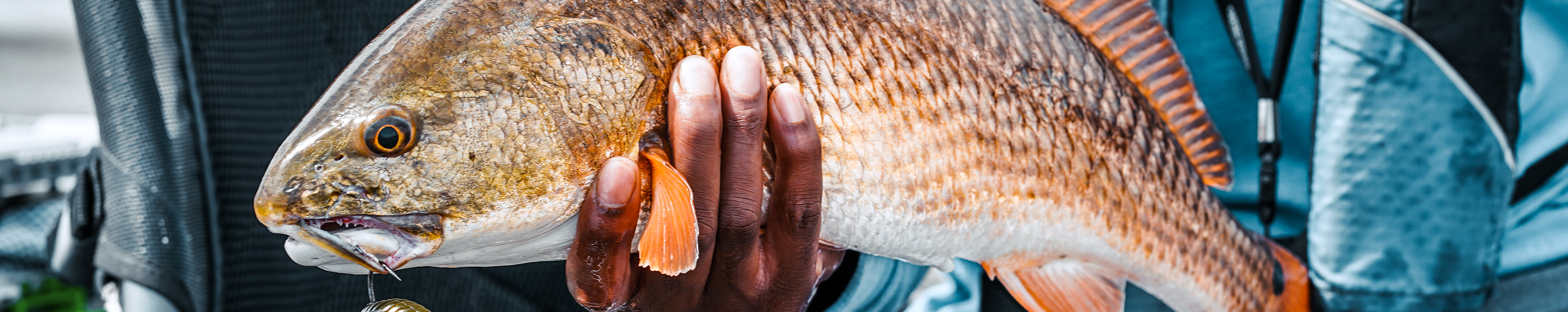 Man holding a red fish