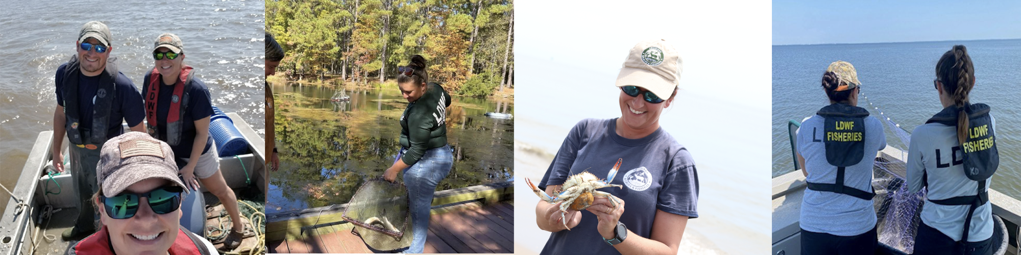 school of fish underwater