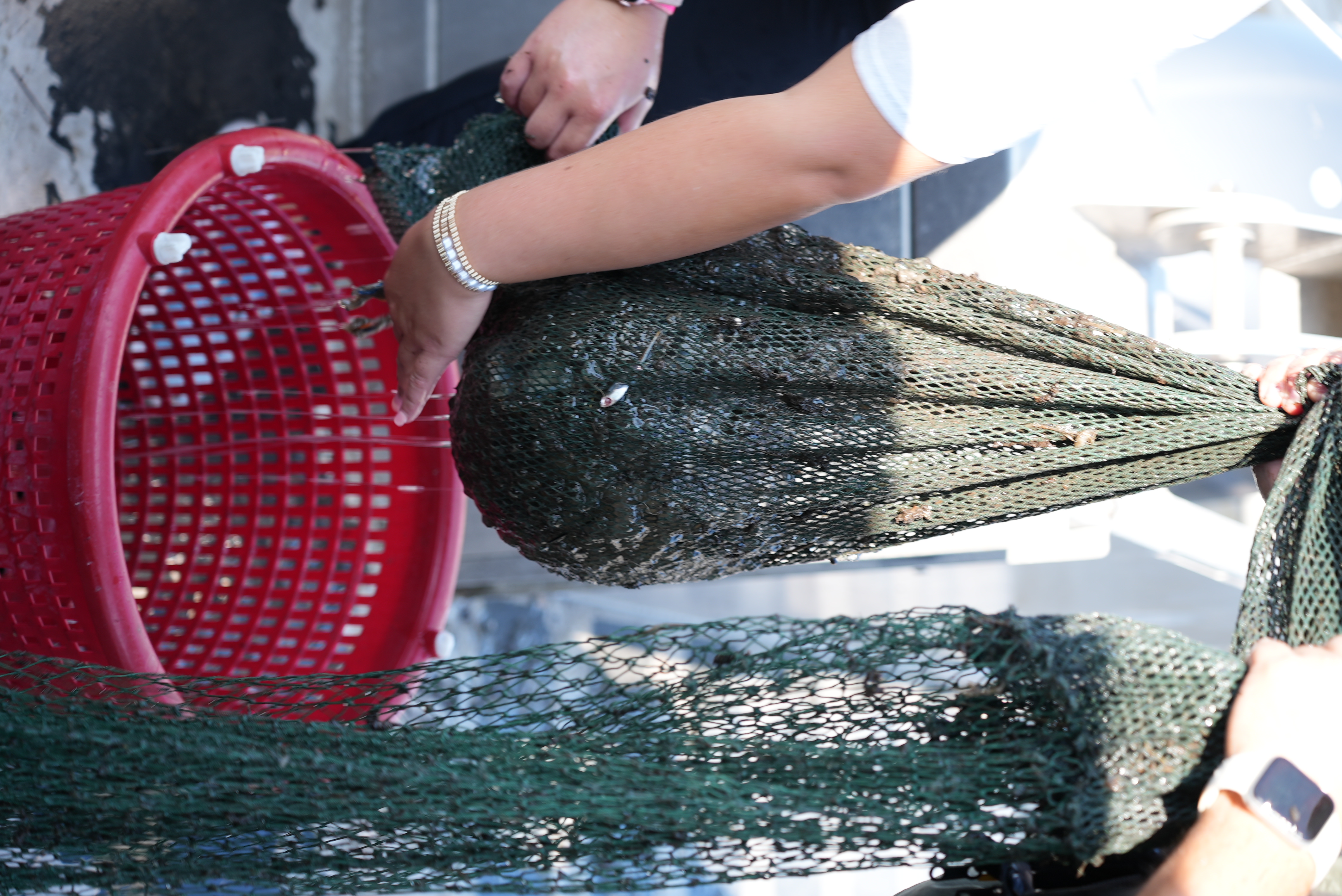 Fish Sampling | Louisiana Department of Wildlife and Fisheries