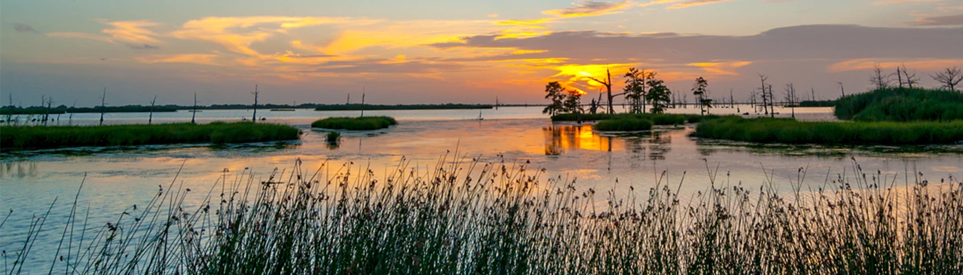 Louisiana marsh at sunrise