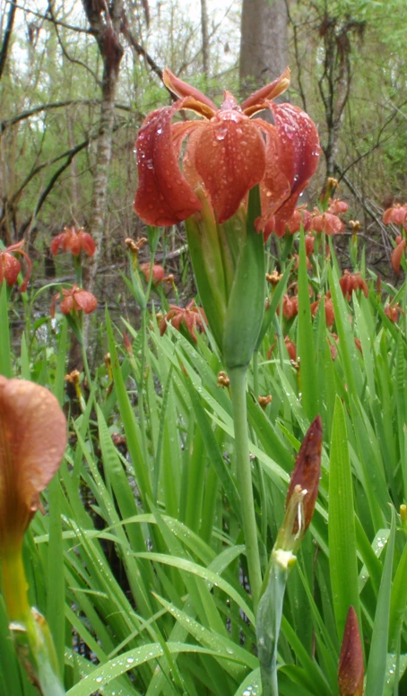 Private Land Management Assistance