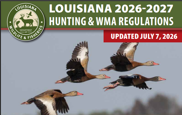 hunting regulation cover image