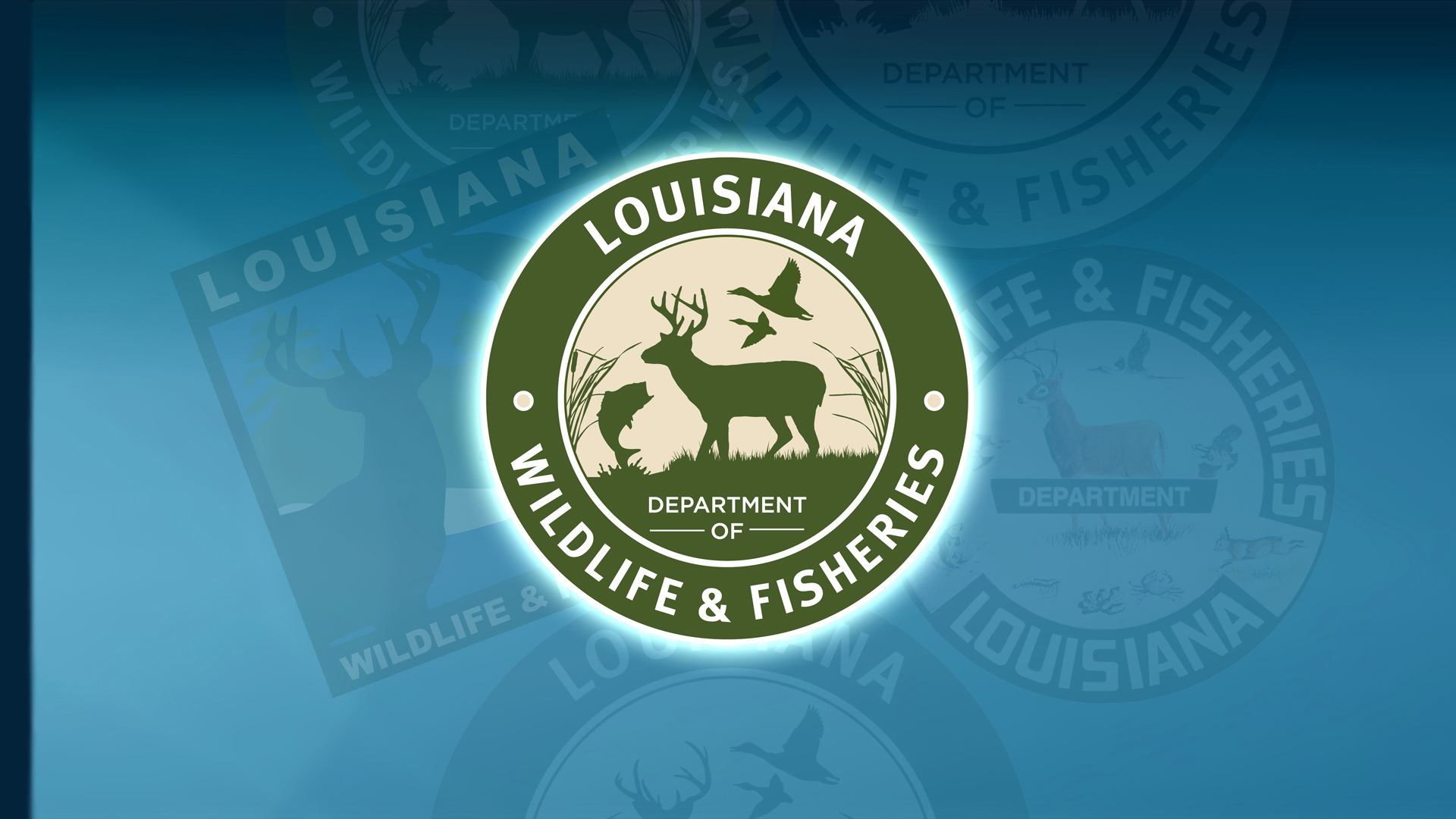 LDWF Logo