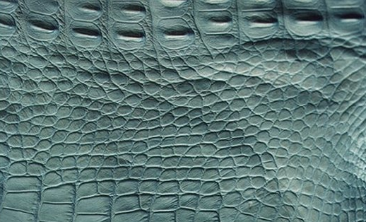 Gator skin