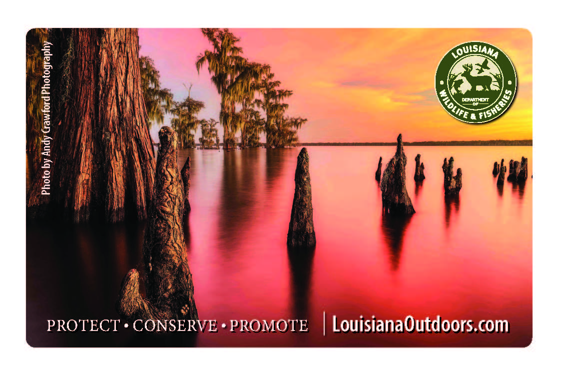 photo contest winning images