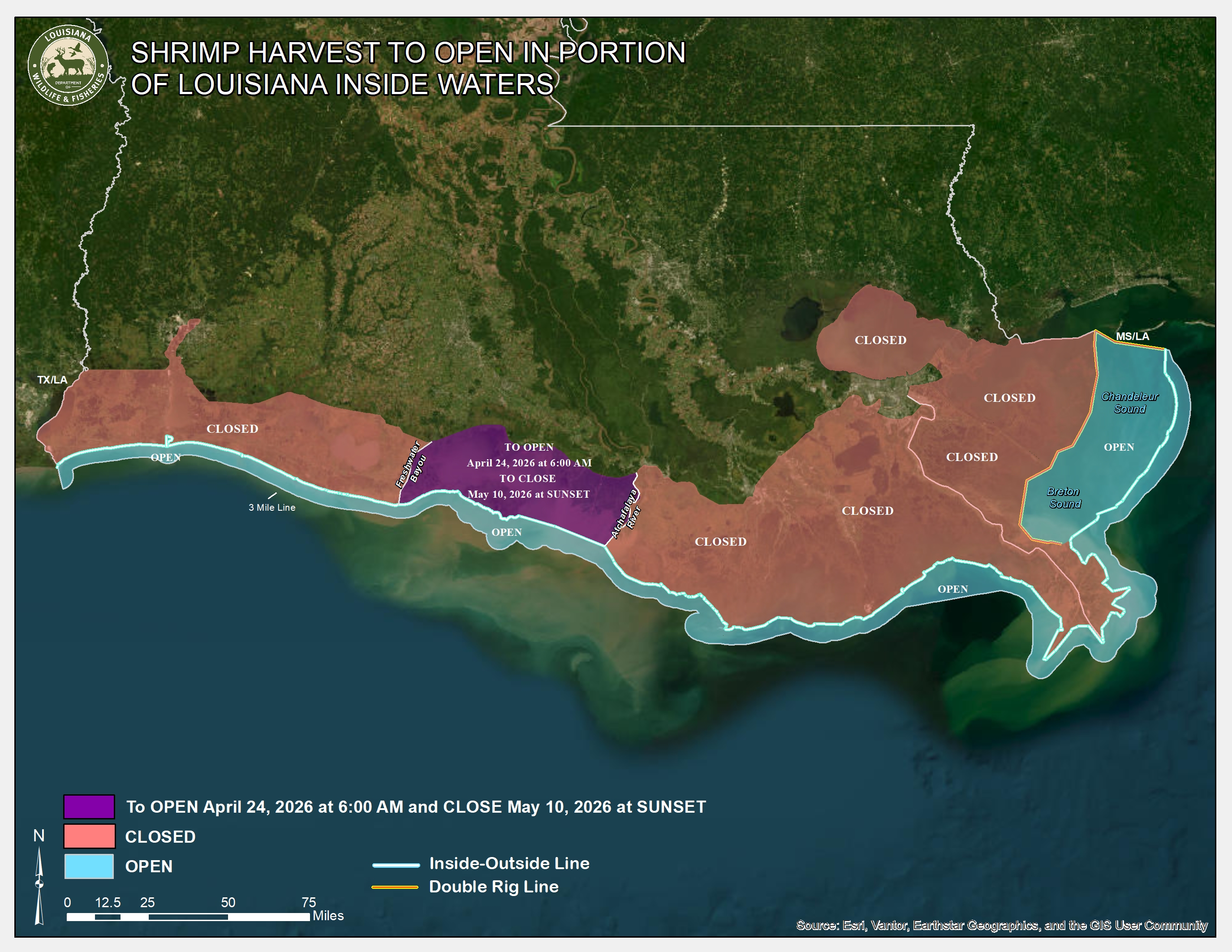special white shrimp season opening map