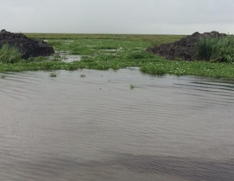 picture of finished cut