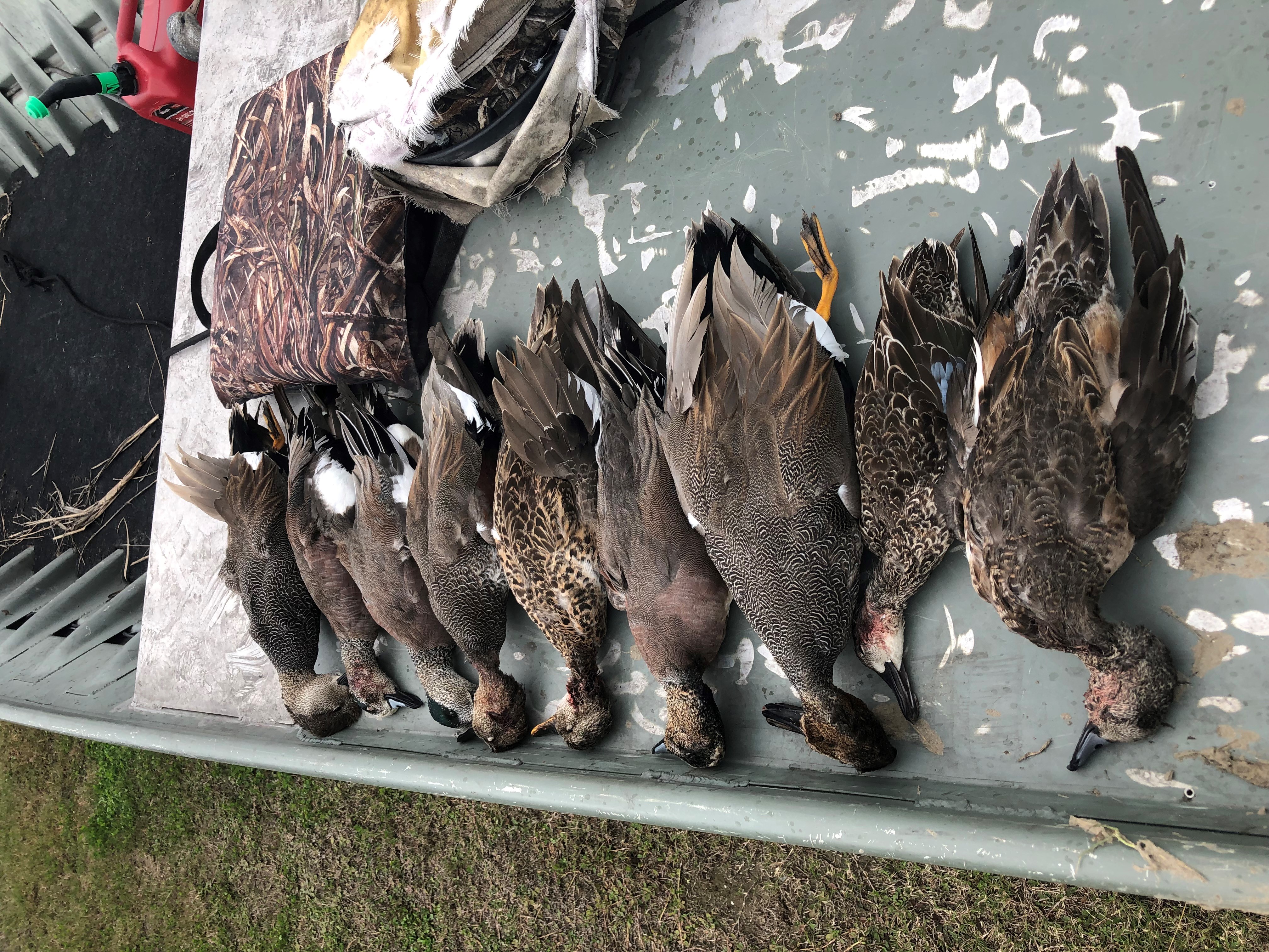 dead ducks on bow of flat boat