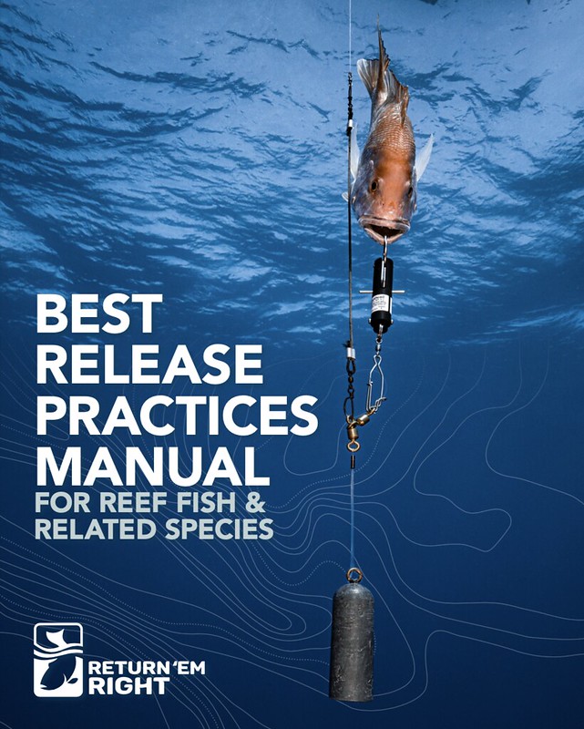 cover image of release practices manual