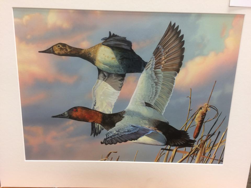 2019 Louisiana Duck Stamp Winner