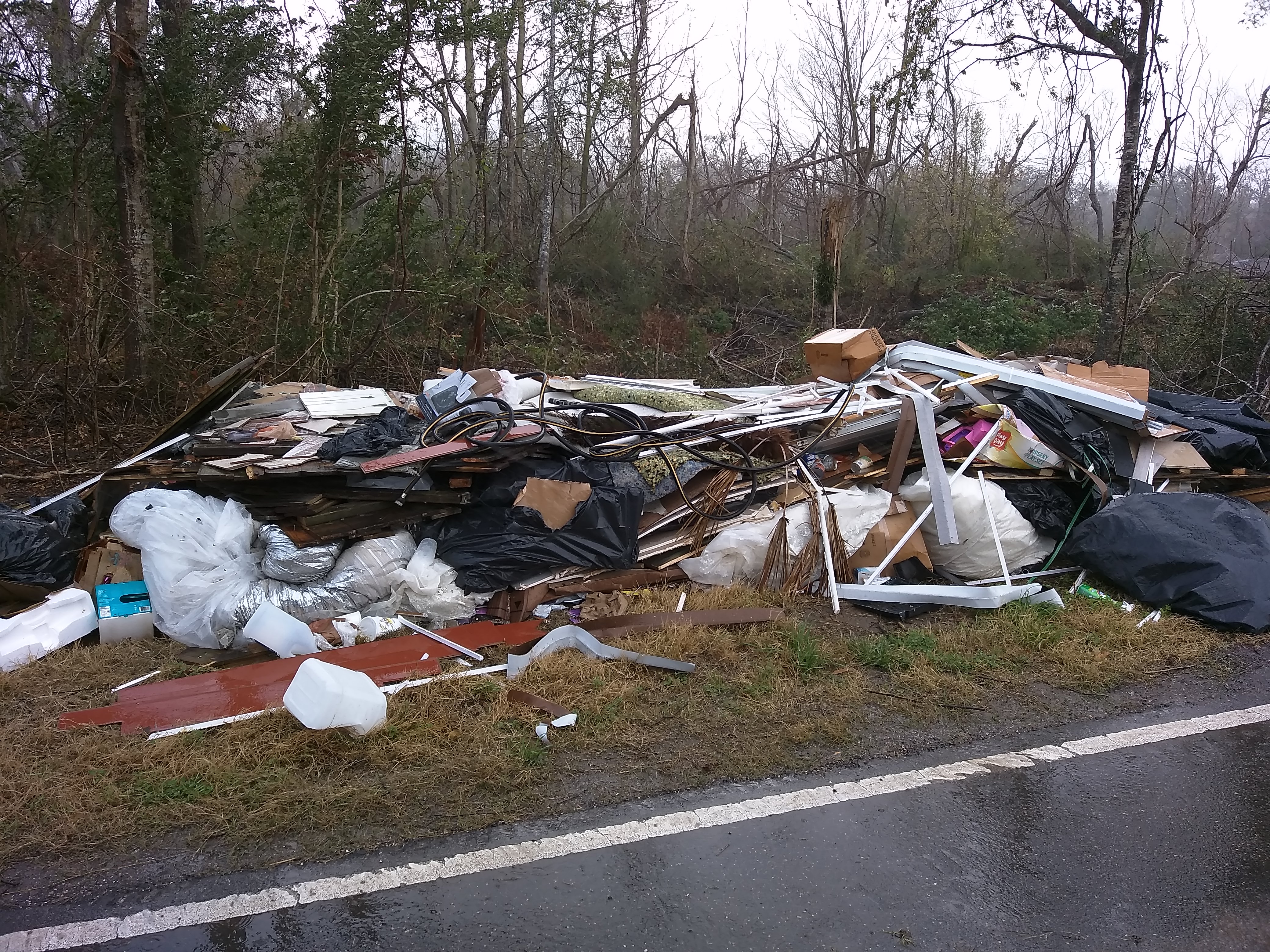 gross littering image