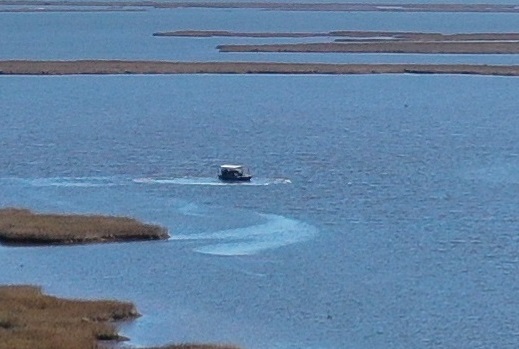 Illegal Oyster Harvest