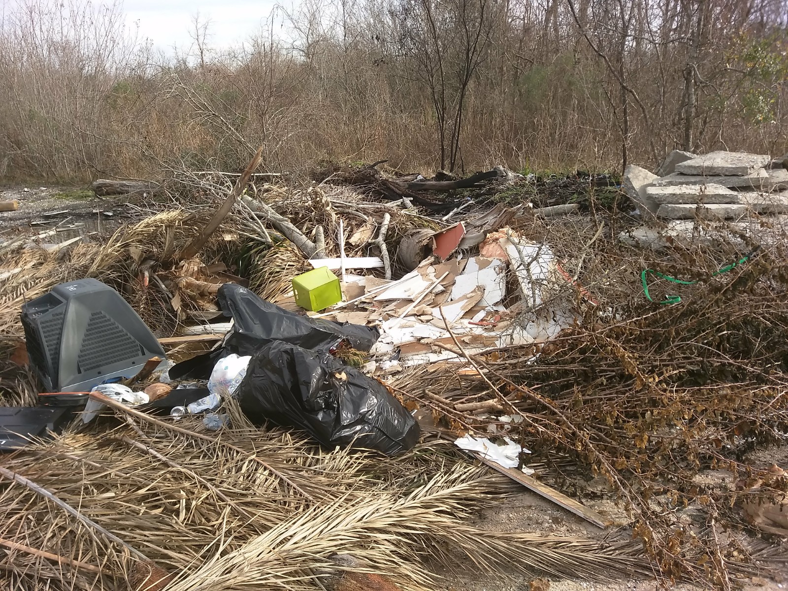 picture of dumped garbage