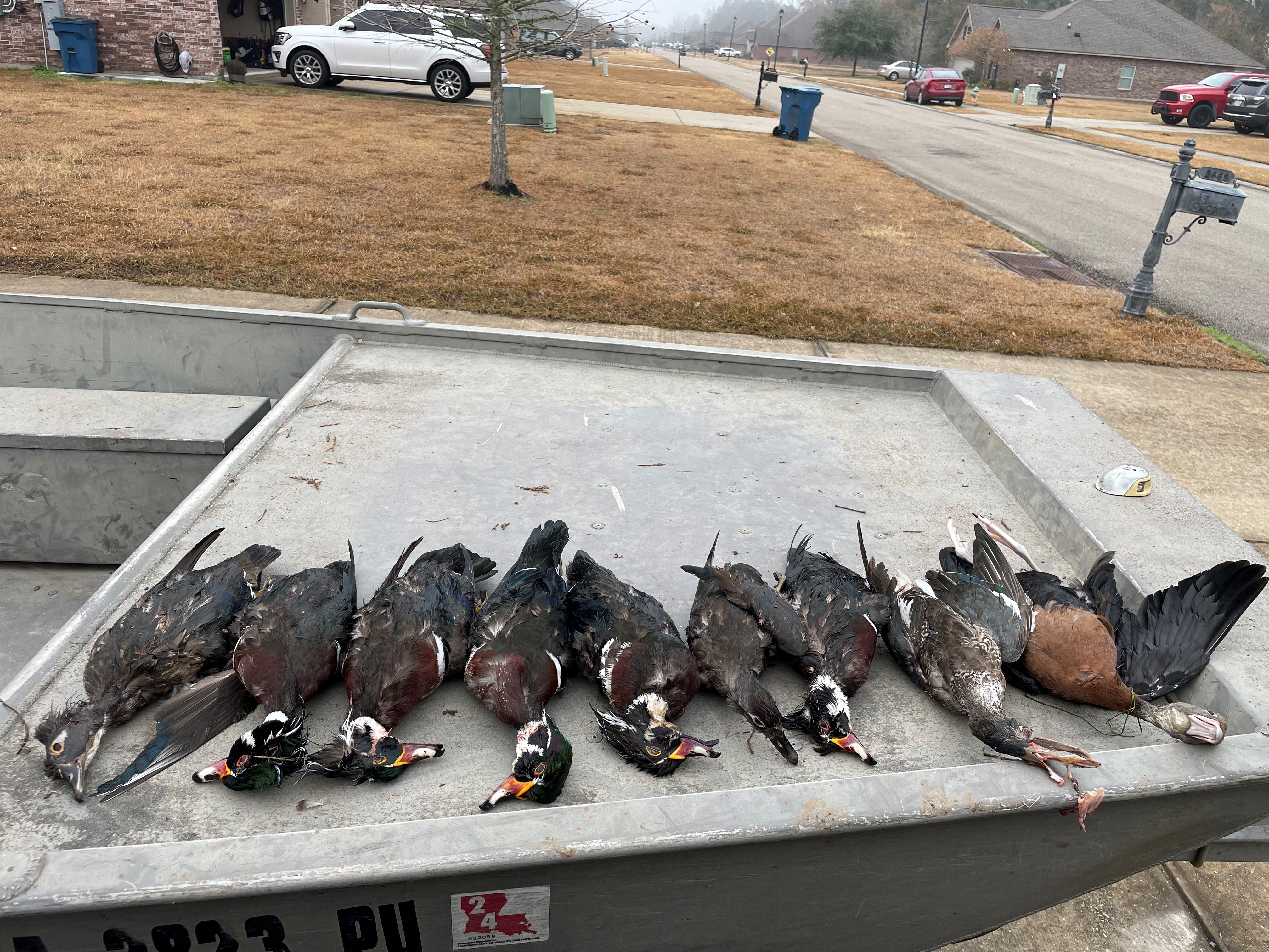 waterfowl/wood ducks on boat bow