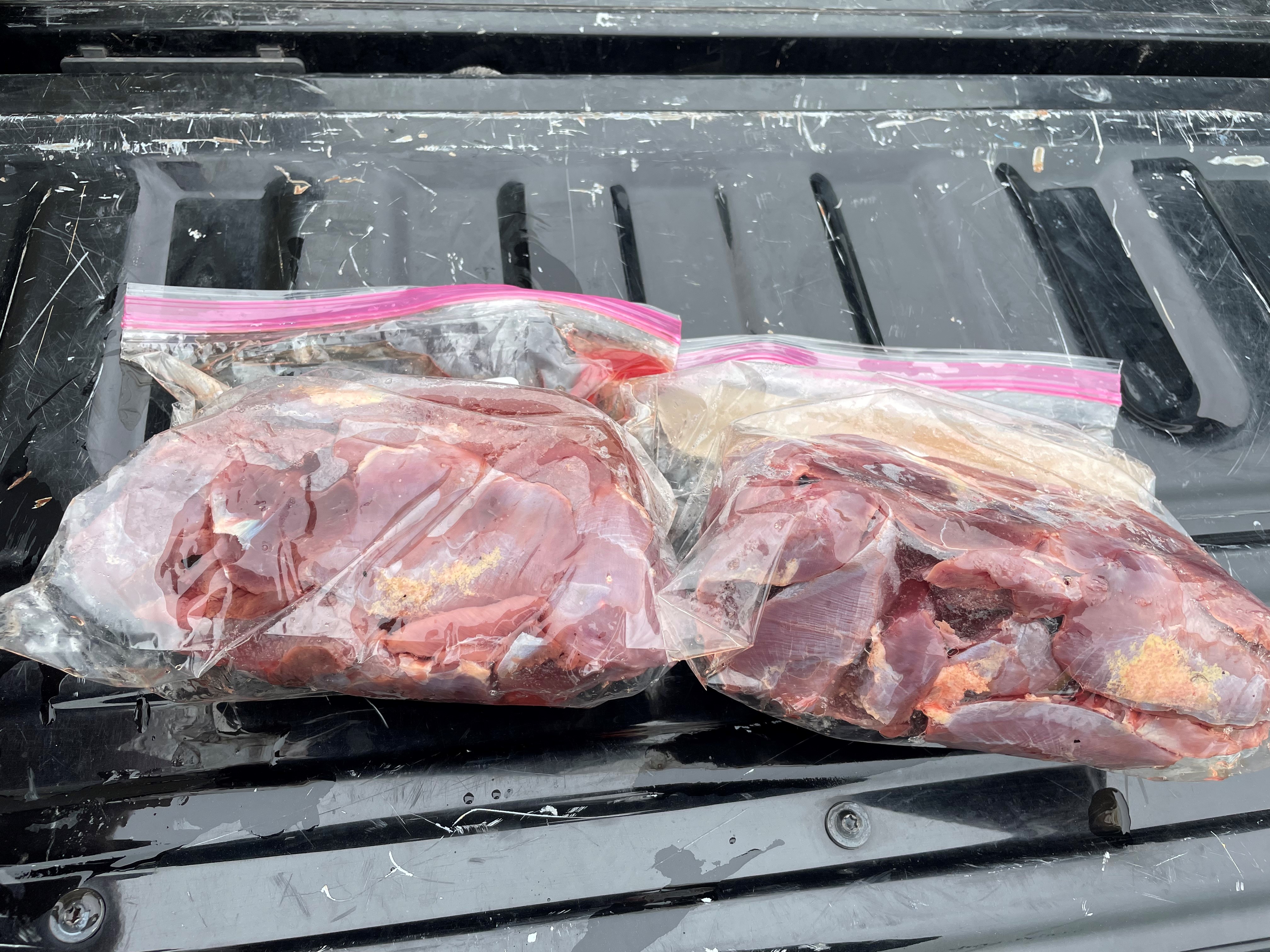 duck meat in zip lock bags on tail gate