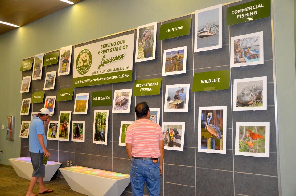 photo wall of printed photography