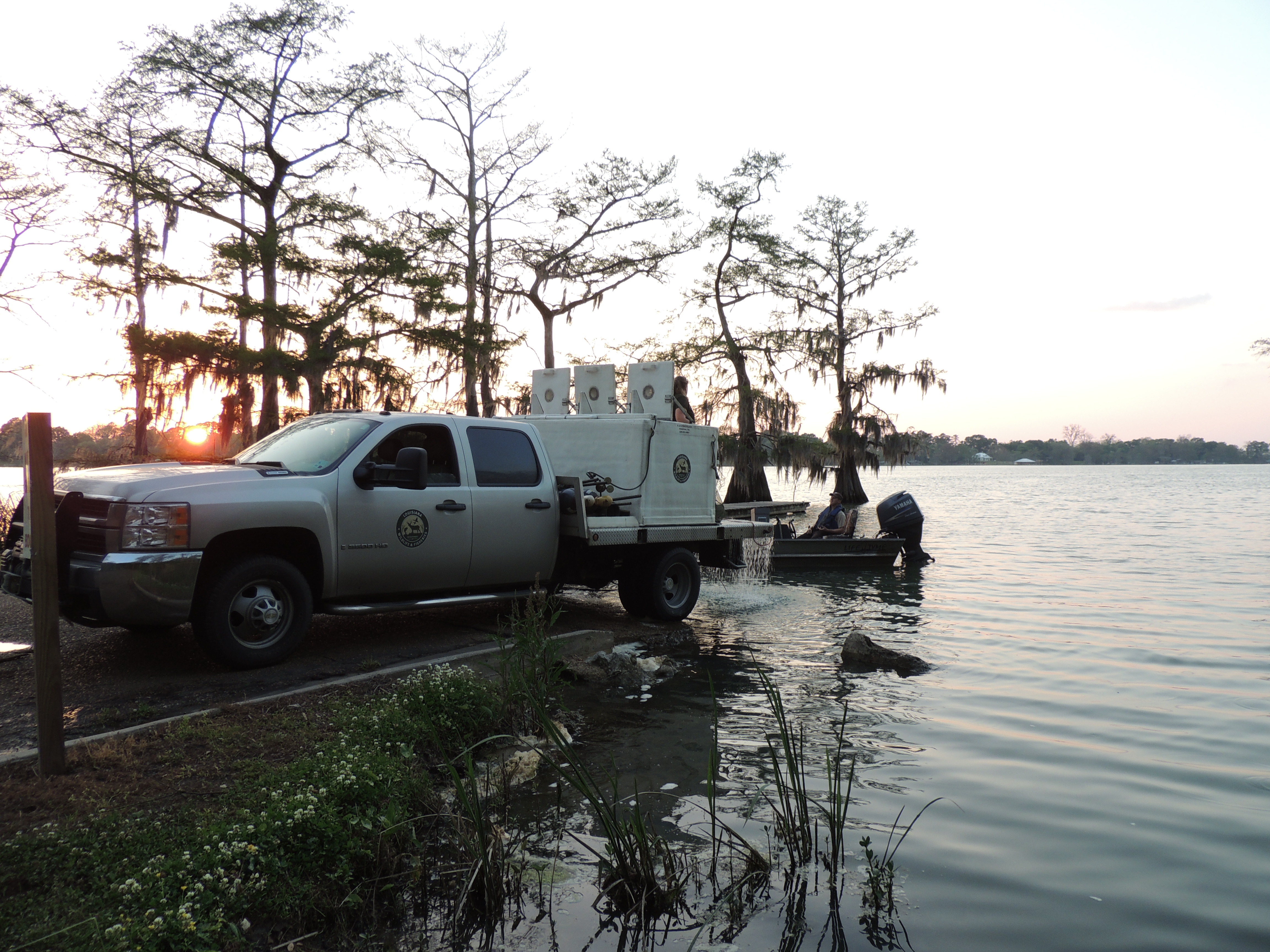 fish stocking truck at boat ramp