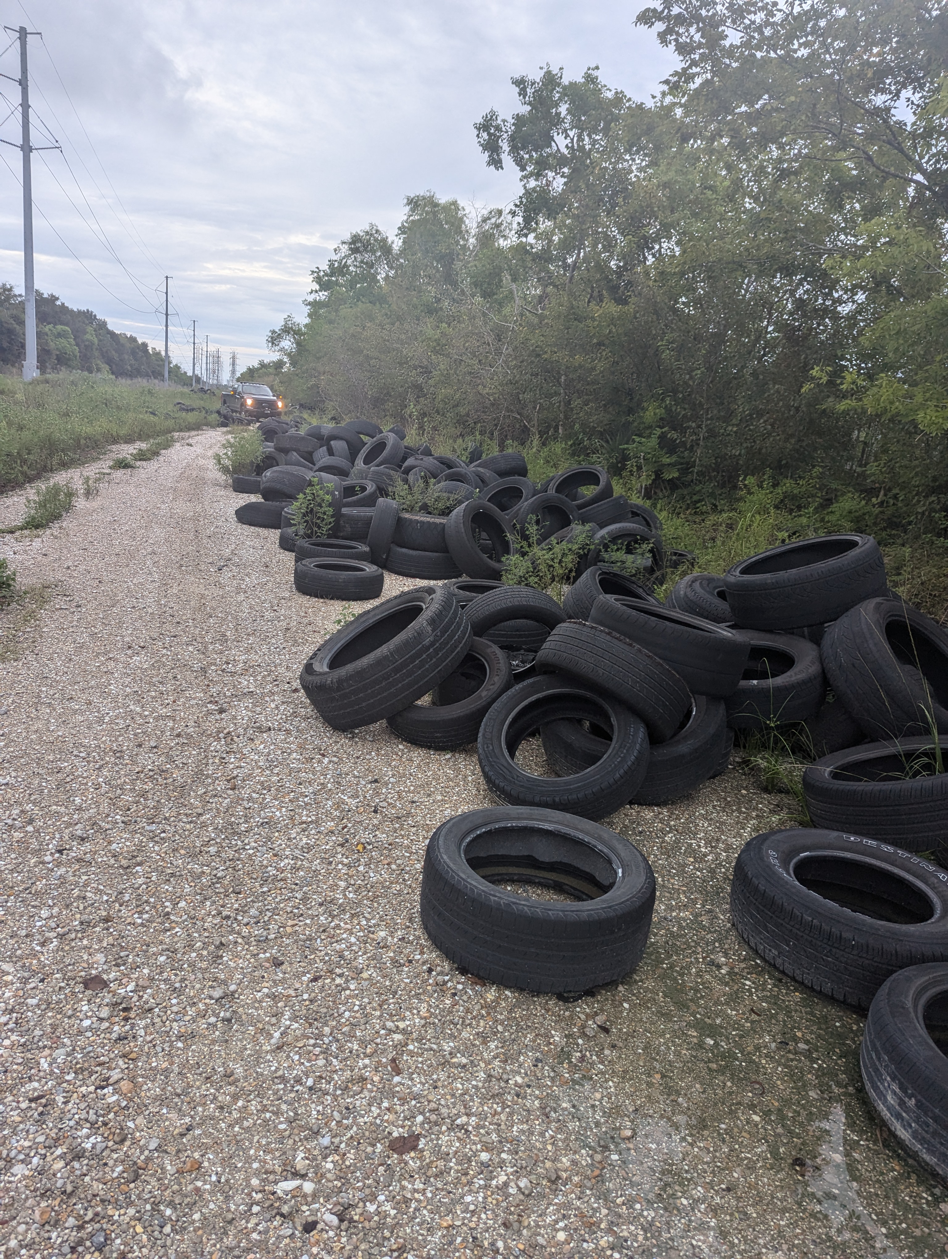 Tire Dump Site