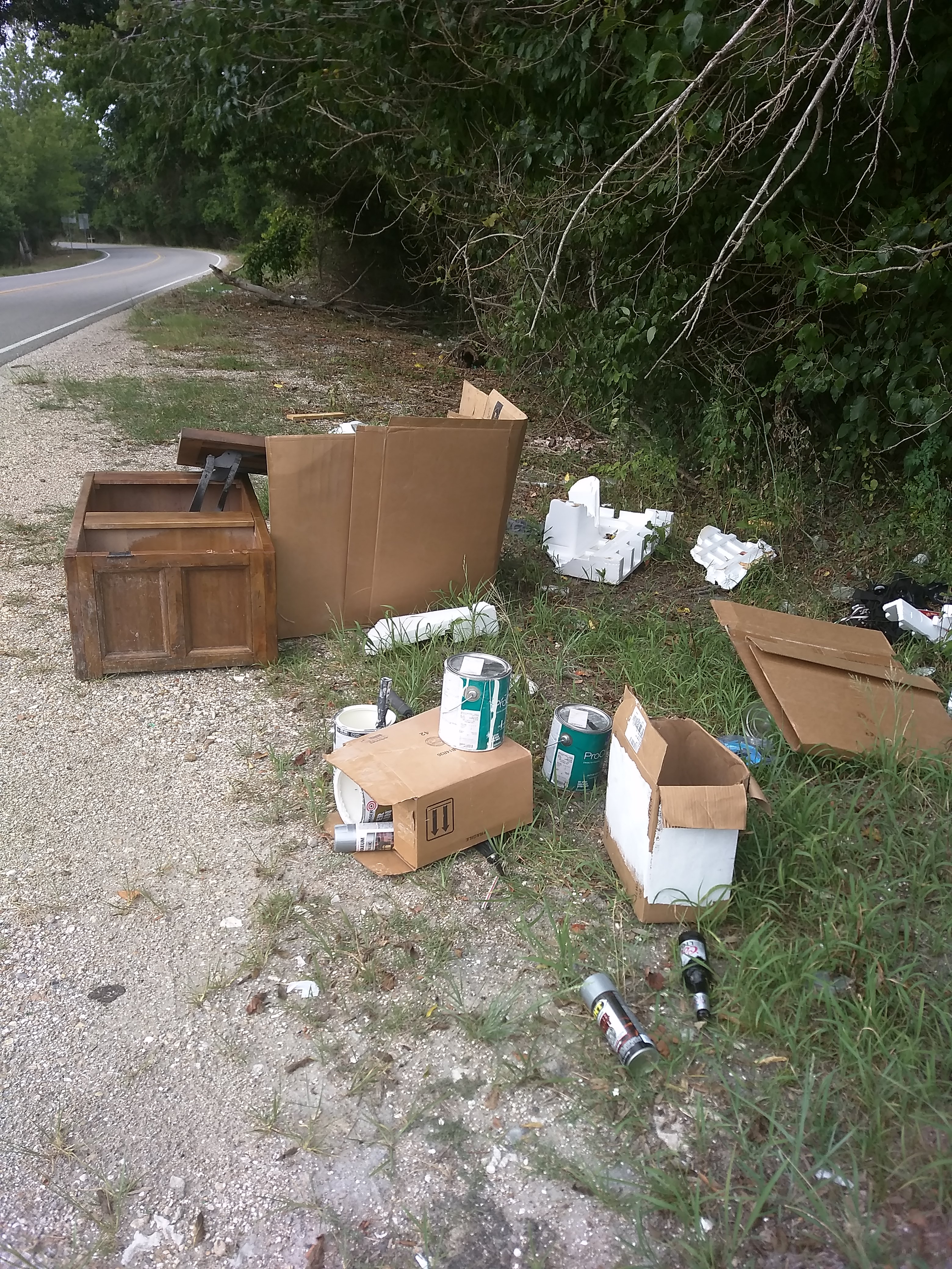 gross littering image