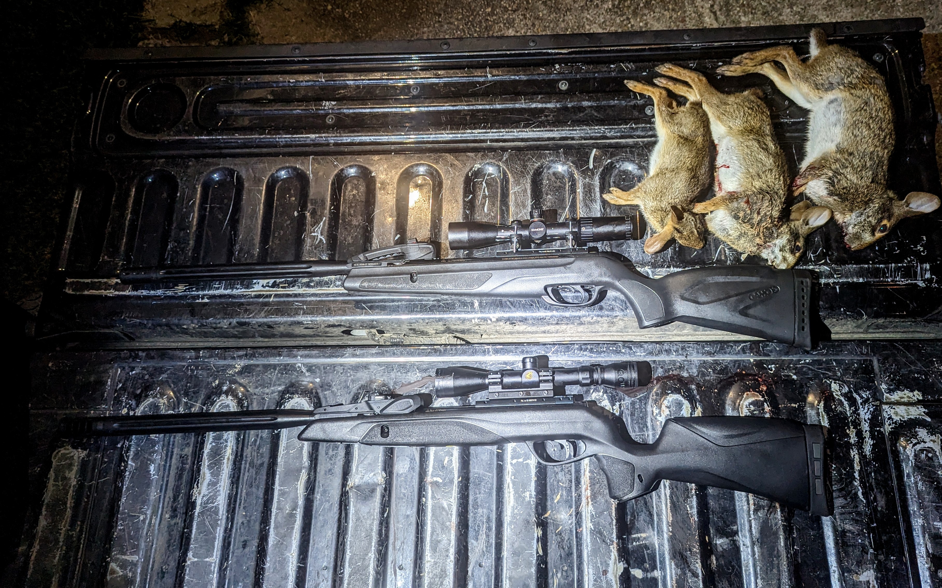 image of 2 guns and 3 rabbits on agent tailgate