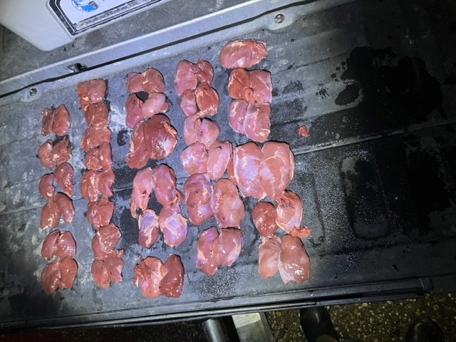 duck breasts on truck bed