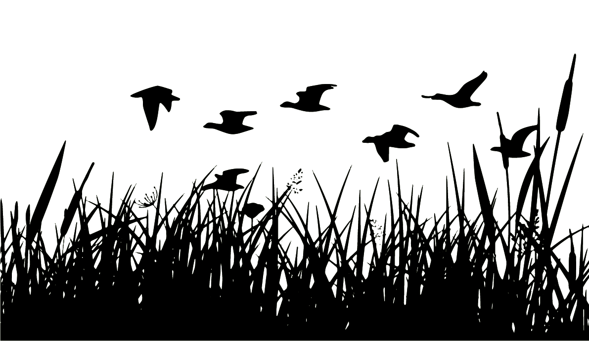ldwf silhouette