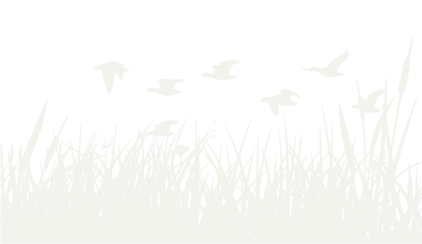 ldwf silhouette
